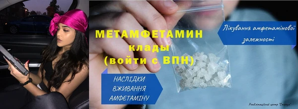 прущие грибы Тында