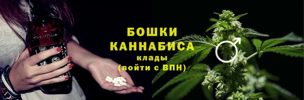 ECSTASY Богданович