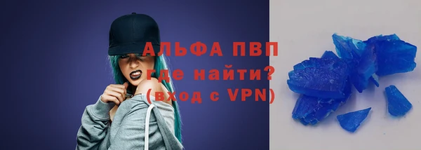 ECSTASY Богданович