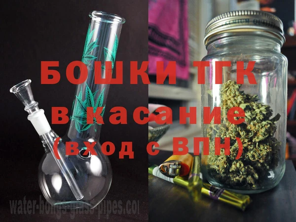 ECSTASY Богданович