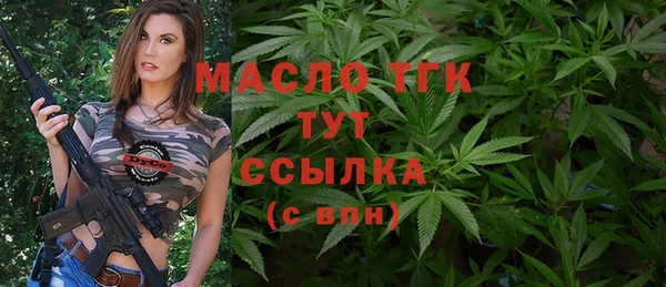 mix Богородицк