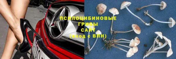 ECSTASY Богданович